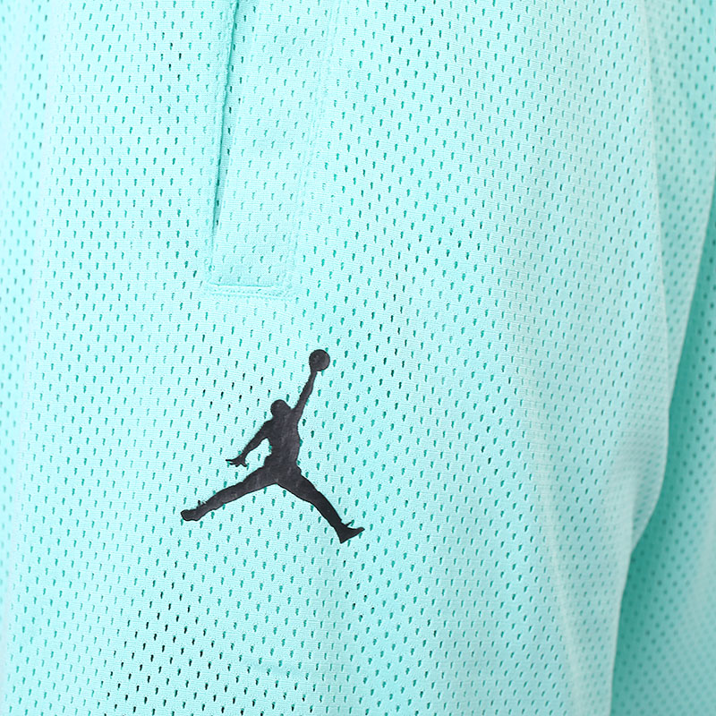 мужские голубые шорты  Jordan Sport DNA Mesh Shorts CZ4855-307 - цена, описание, фото 5